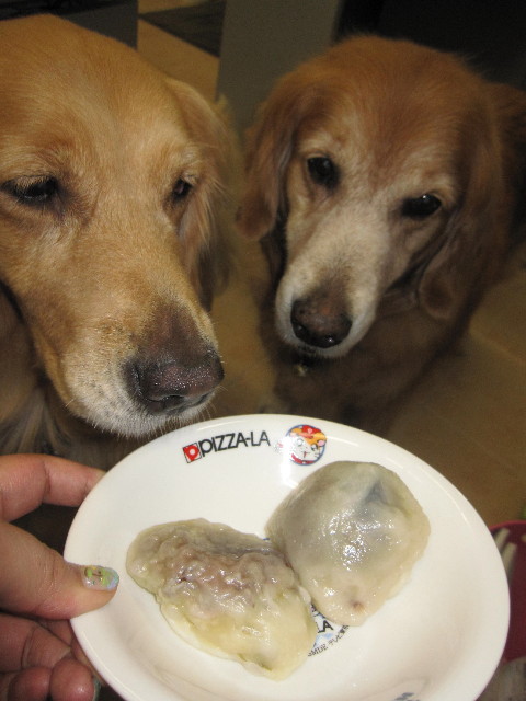 ファイル 1365-5.jpg