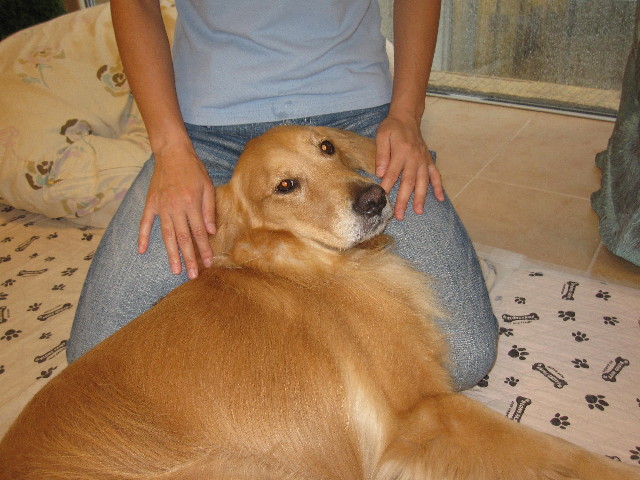 ファイル 1366-5.jpg