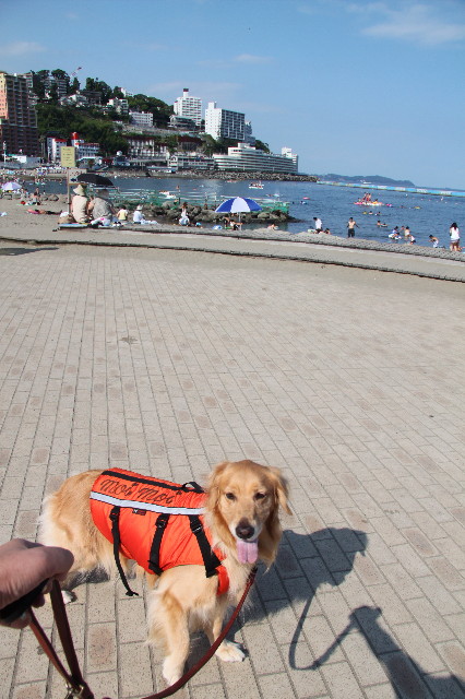 ファイル 1367-1.jpg