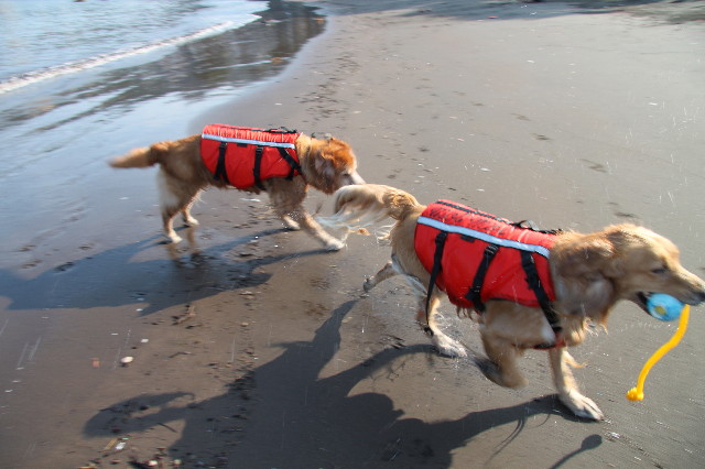 ファイル 1367-3.jpg