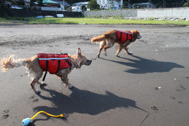 ファイル 1367-5.jpg