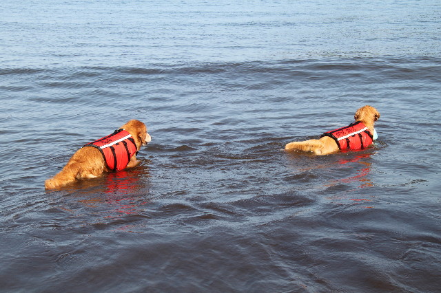 ファイル 1368-3.jpg