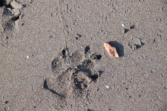 ファイル 1368-4.jpg