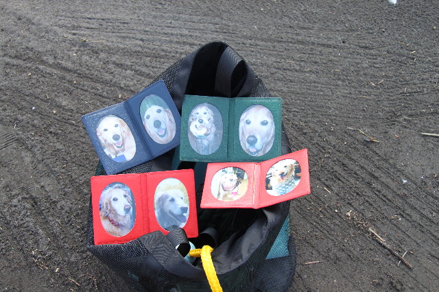 ファイル 1368-5.jpg