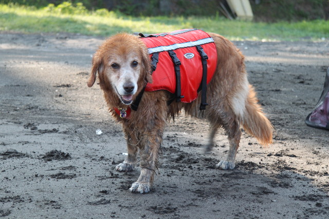 ファイル 1369-1.jpg