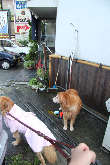 ファイル 1369-2.jpg