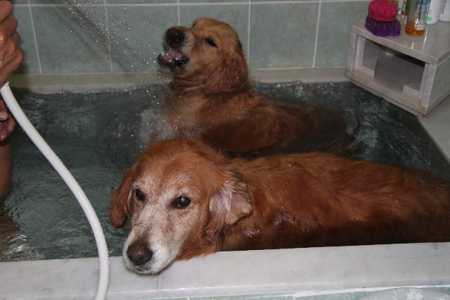 ファイル 1369-3.jpg