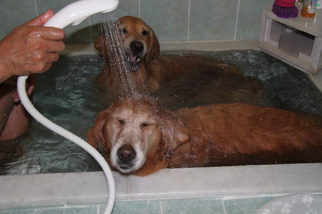 ファイル 1369-4.jpg