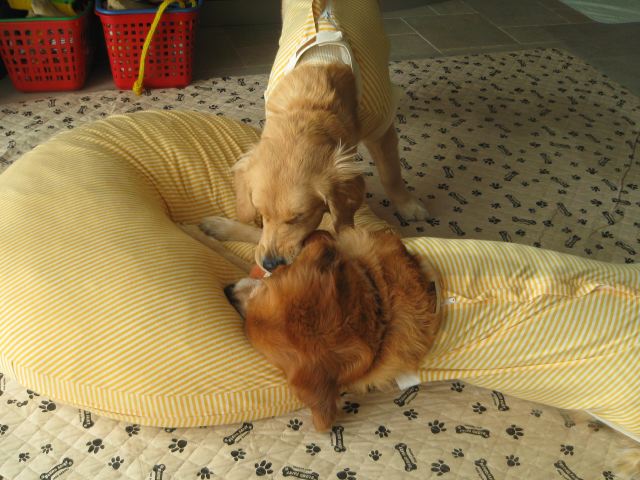 ファイル 137-5.jpg