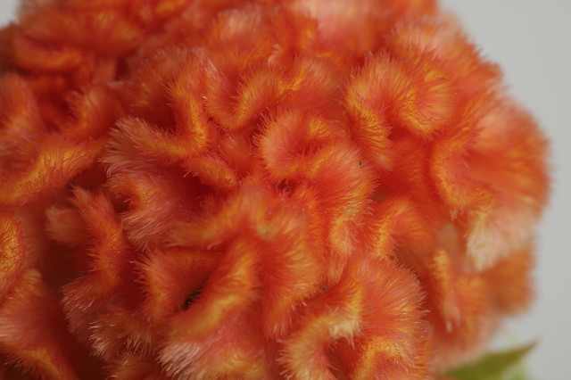 ファイル 1373-3.jpg