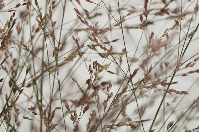 ファイル 1373-4.jpg