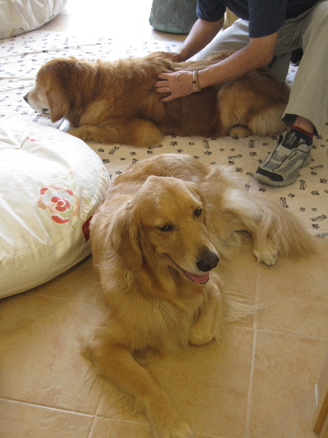 ファイル 1374-1.jpg