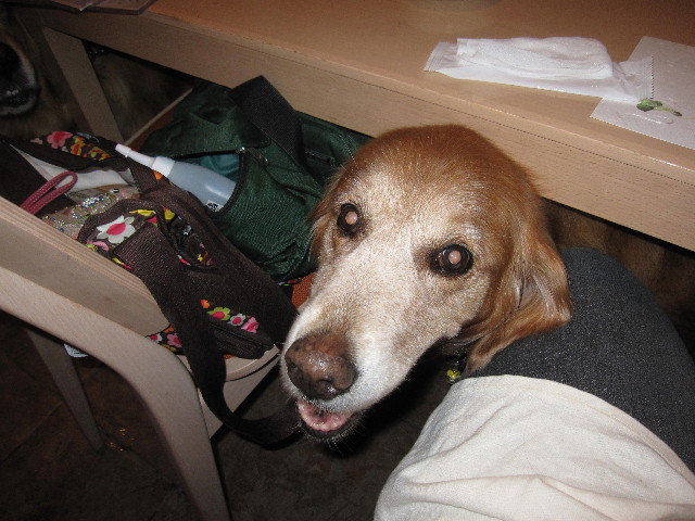 ファイル 1374-2.jpg