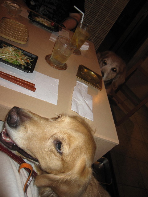 ファイル 1374-3.jpg