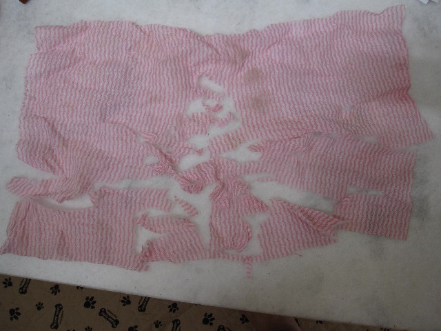 ファイル 1374-4.jpg