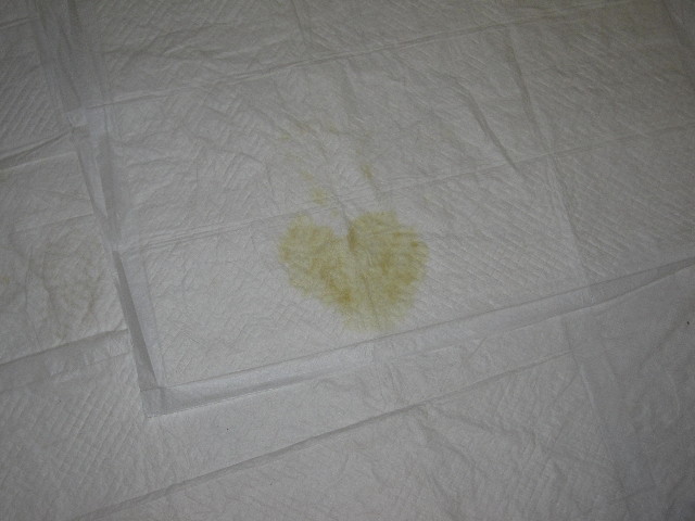 ファイル 1374-5.jpg