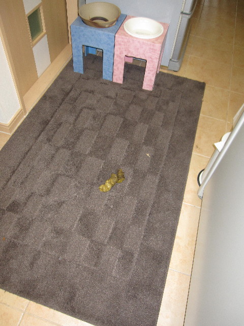 ファイル 1376-1.jpg