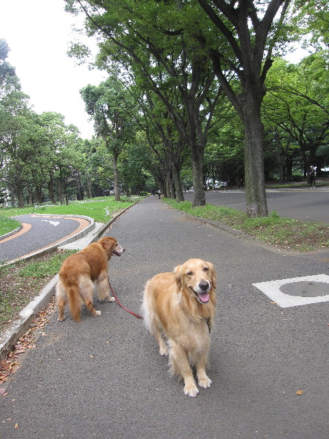 ファイル 1376-5.jpg