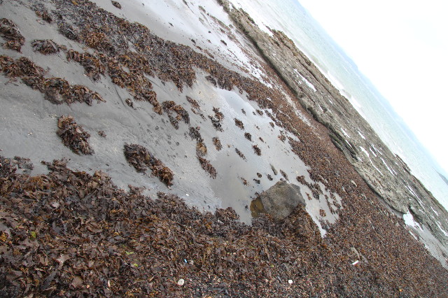 ファイル 1385-2.jpg