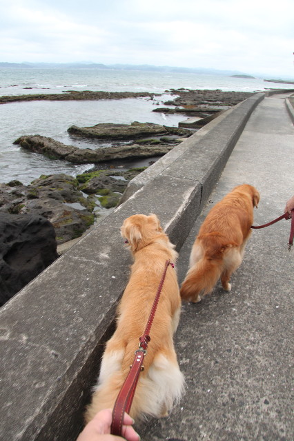 ファイル 1385-3.jpg