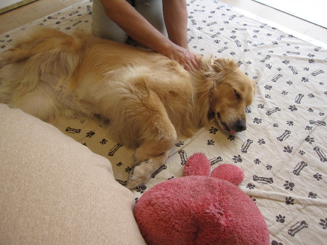 ファイル 1386-2.jpg