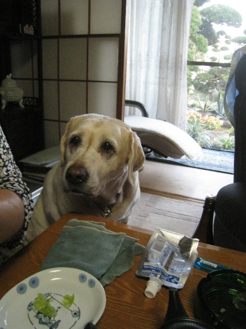 ファイル 1388-1.jpg