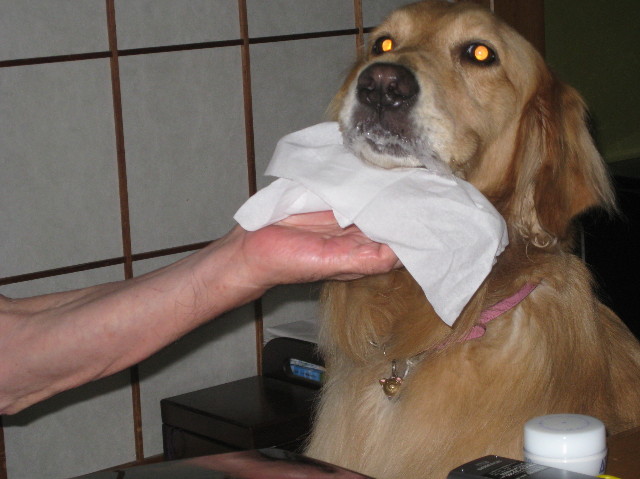 ファイル 1388-3.jpg