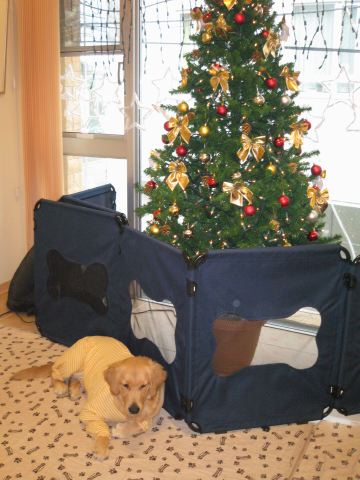 ファイル 139-2.jpg