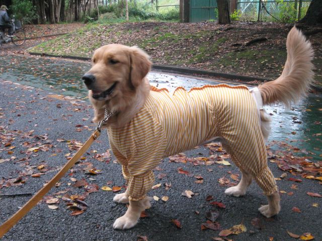 ファイル 139-3.jpg