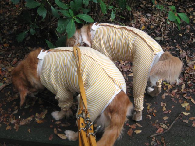 ファイル 139-4.jpg