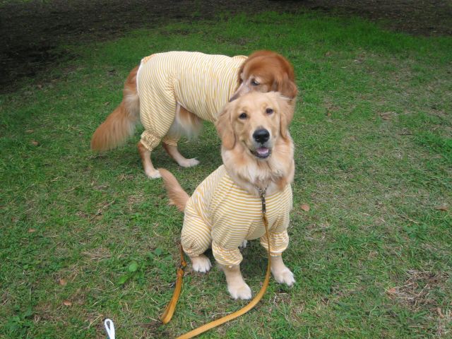 ファイル 139-5.jpg