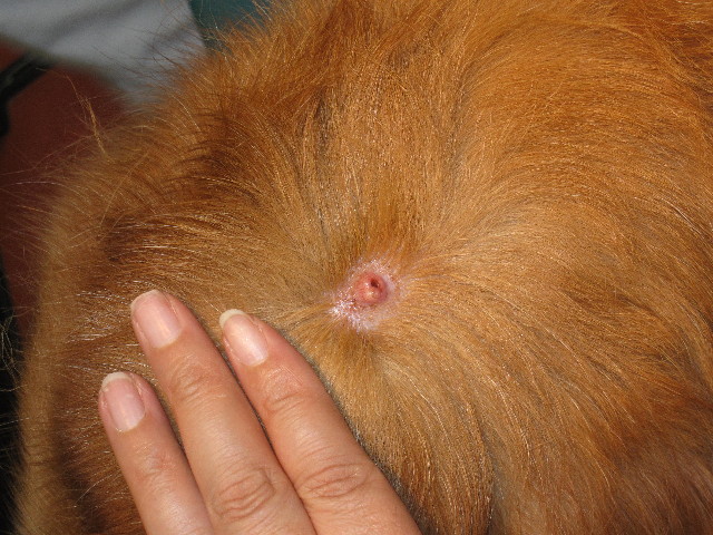 ファイル 1390-2.jpg