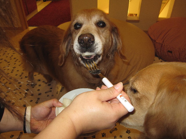 ファイル 1393-3.jpg