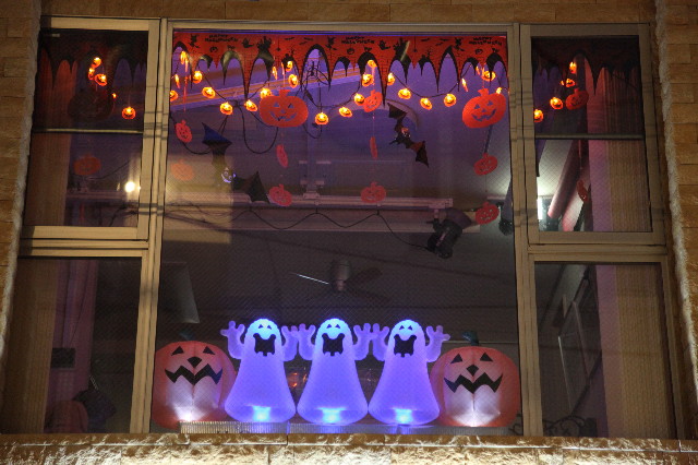 ファイル 1394-5.jpg