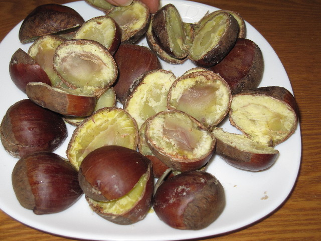 ファイル 1395-1.jpg