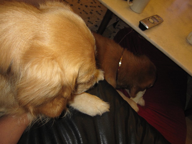 ファイル 1396-5.jpg