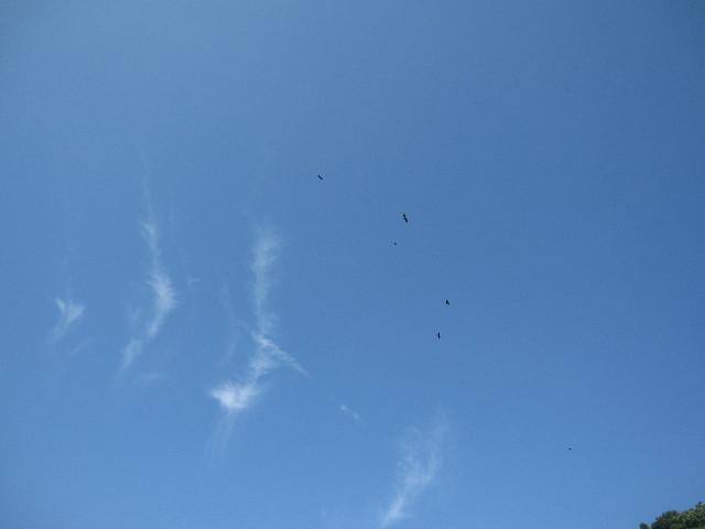 ファイル 1397-1.jpg