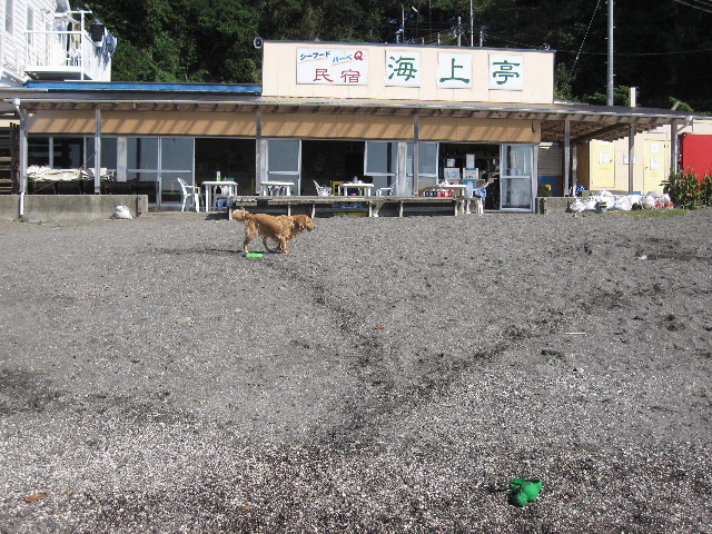 ファイル 1397-4.jpg