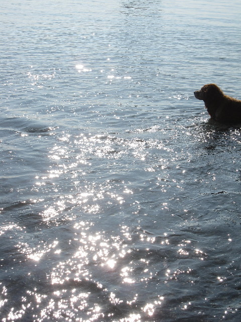 ファイル 1398-4.jpg