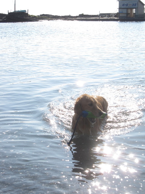 ファイル 1398-5.jpg