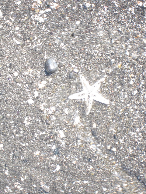 ファイル 1399-1.jpg