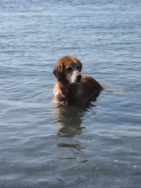 ファイル 1399-2.jpg