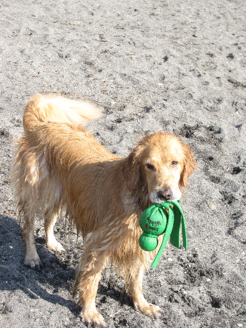 ファイル 1399-3.jpg