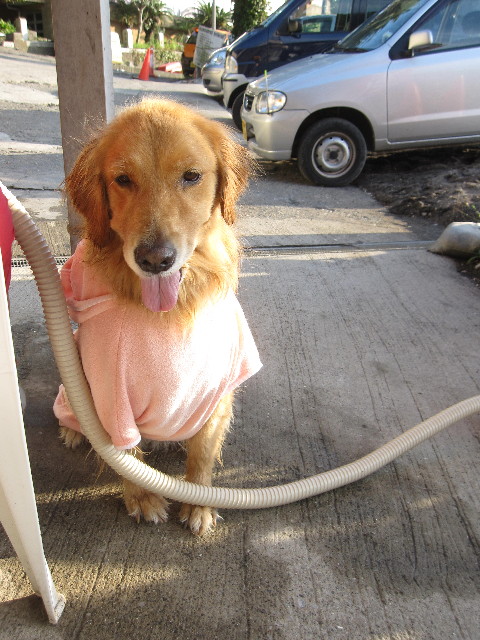 ファイル 1399-4.jpg