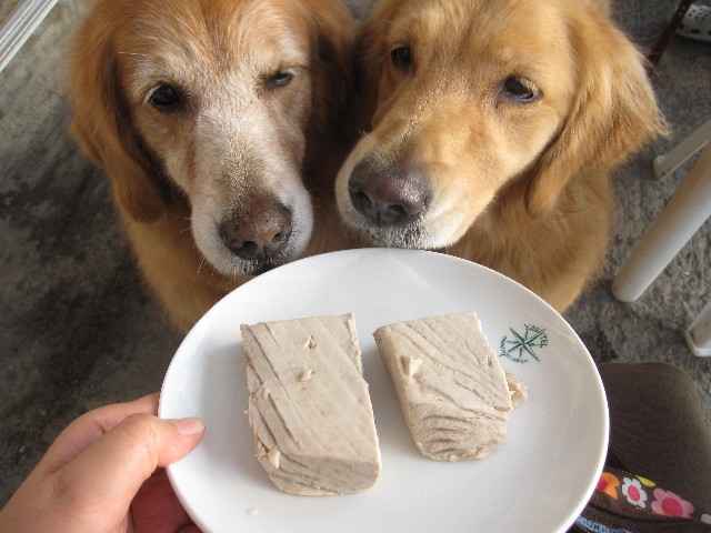 ファイル 1399-5.jpg