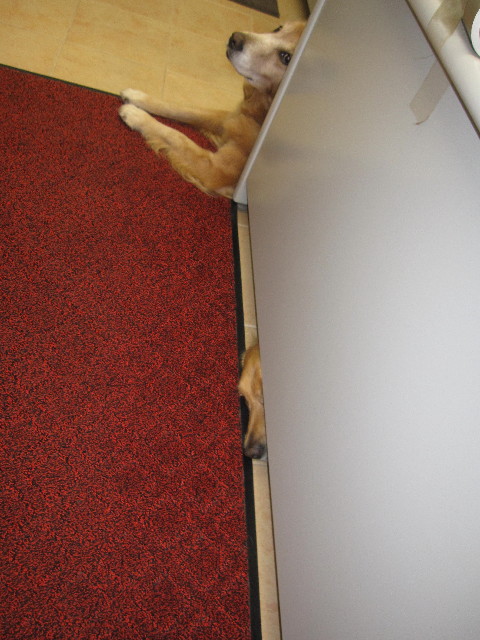 ファイル 1400-4.jpg