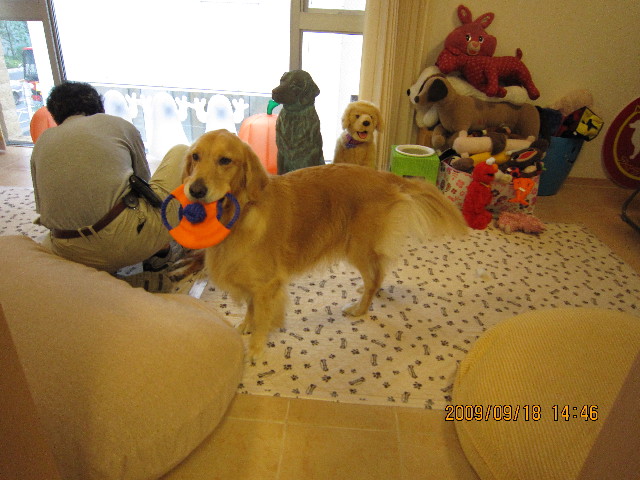 ファイル 1401-5.jpg