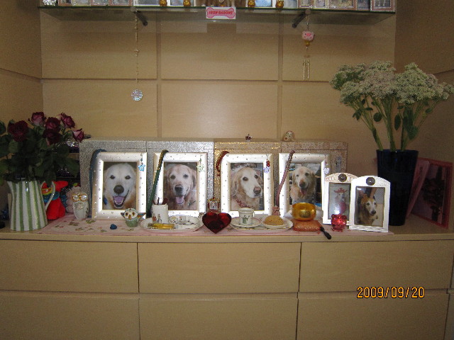 ファイル 1403-2.jpg