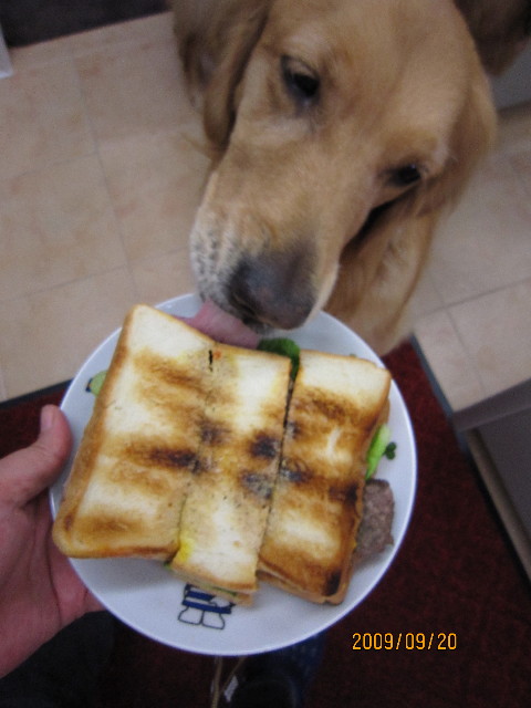 ファイル 1403-4.jpg