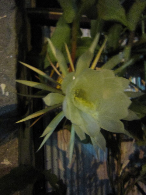 ファイル 1404-5.jpg